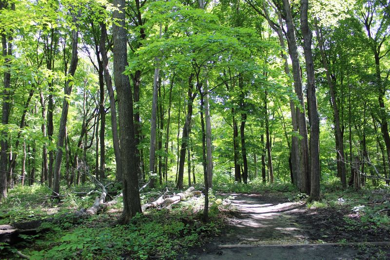 Eleven Miles of Trails With Something Different Around Every Bend Eleven Miles of Trails With Something Different Around Every Bend