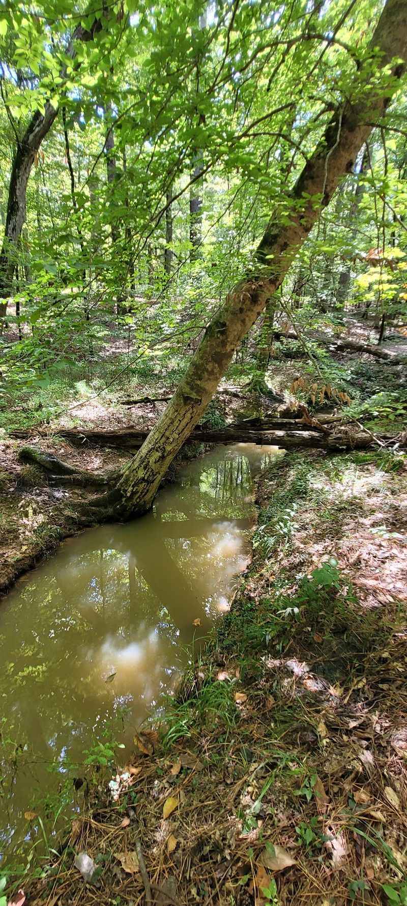 Eleven Natural Springs That Still Flow Today