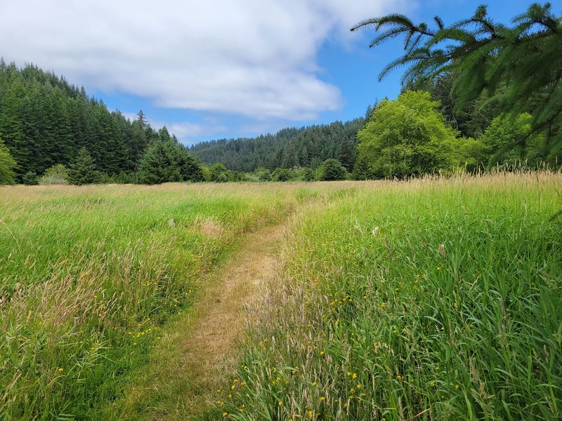 Enchanted Valley Trail - Oregon Coast