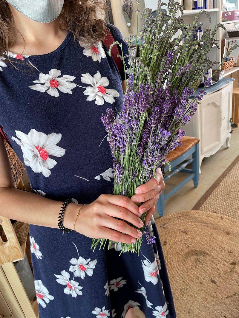 English, French, And Even White Lavender English, French, And Even White Lavender