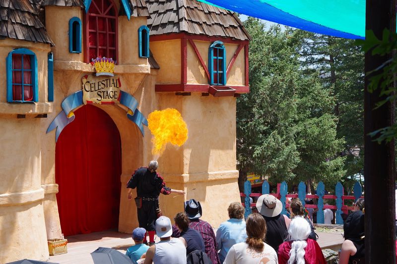 Entertainment for Adults Beyond the Joust Entertainment for Adults Beyond the Joust