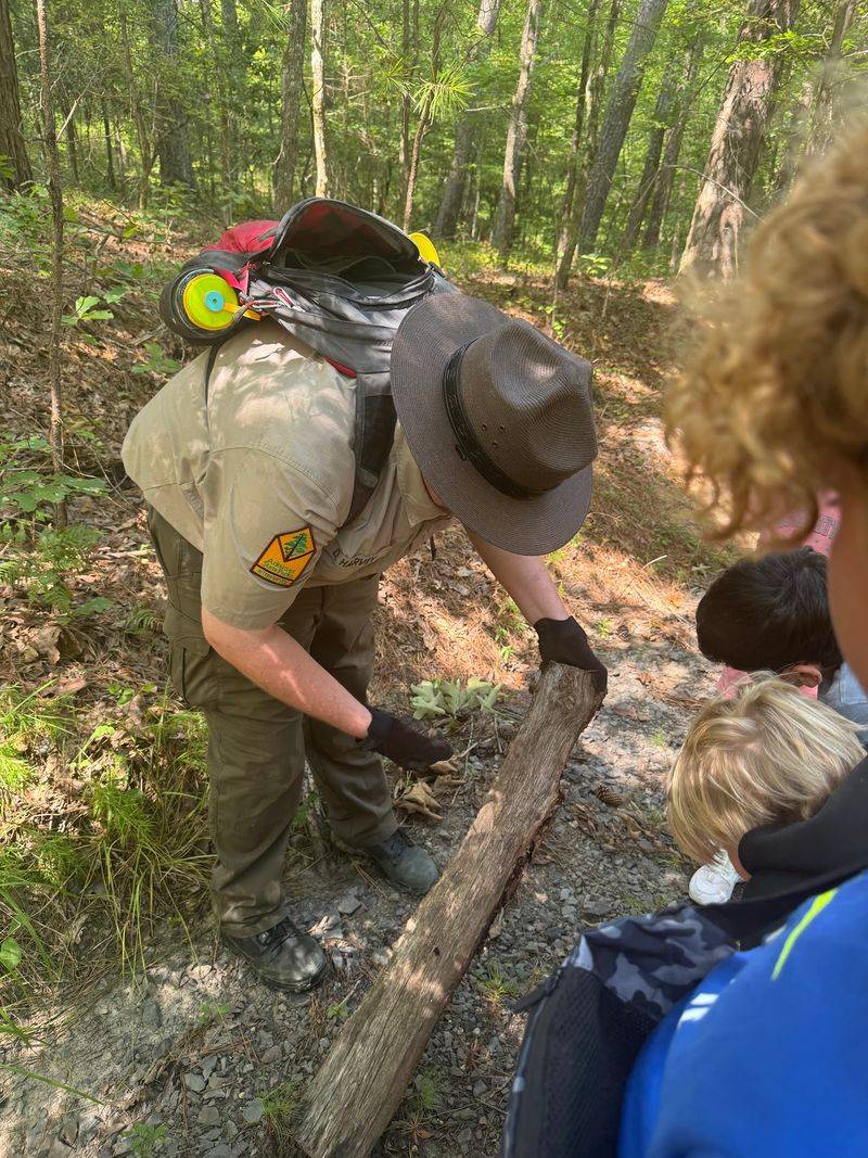 Environmental Programs That Stick With You