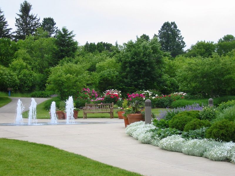 Events, Weddings, and Special Gatherings Events, Weddings, and Special Gatherings