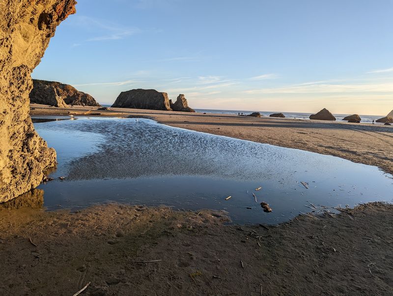 Extended Beach Walks and Driftwood Discoveries Extended Beach Walks and Driftwood Discoveries