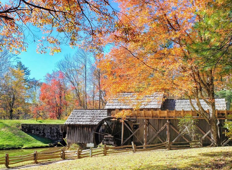Fall Color Along the Parkway Near Meadows of Dan
