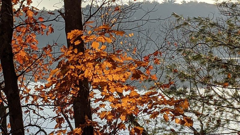 Fall Colors Steal the Show Fall Colors Steal the Show