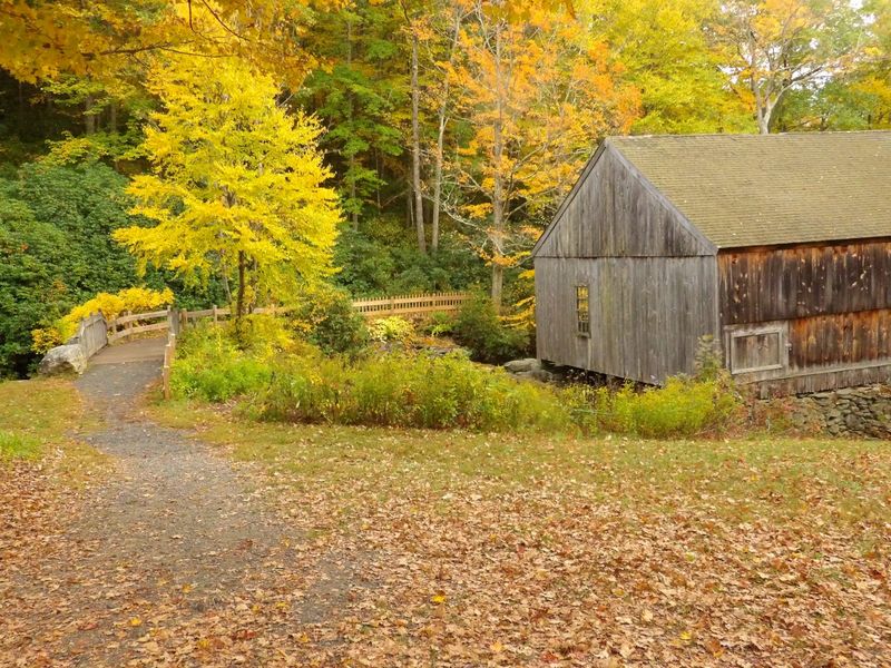 Fall Colors That Steal the Show Fall Colors That Steal the Show
