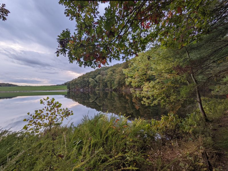 Fall Colors That Transform the Whole Park