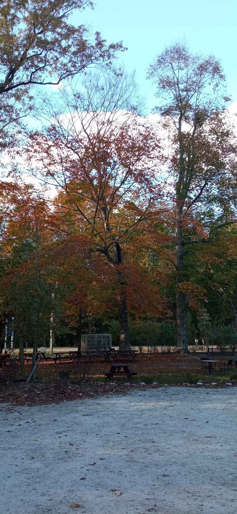 Fall Colors and the Best Time to Visit