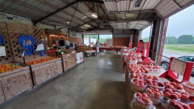 Fall Donuts and the Orchard Farm Store