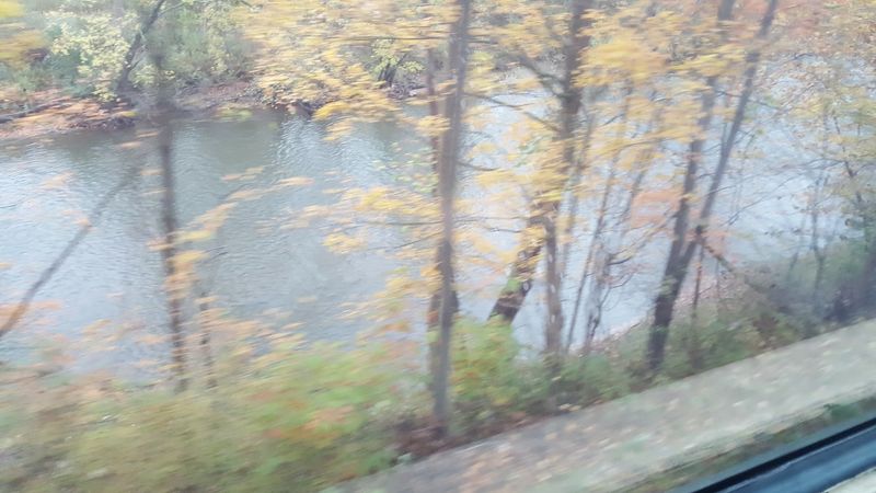 Fall Foliage From A Moving Window