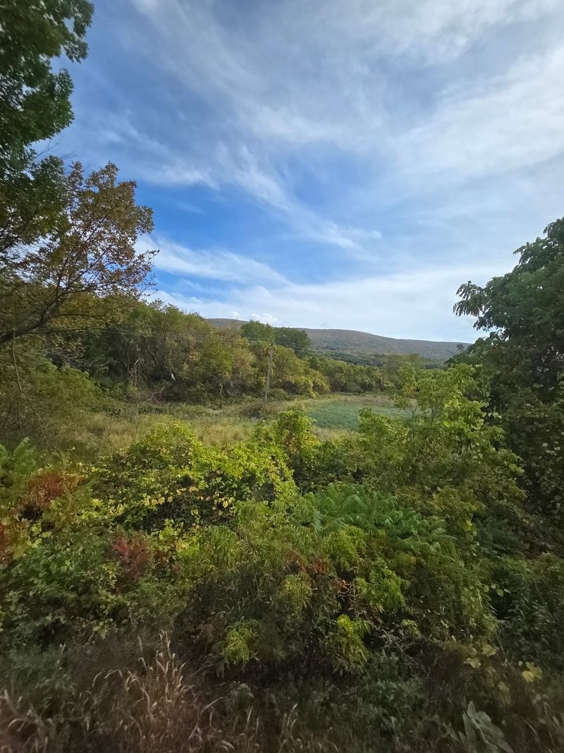 Fall Foliage Season and Timing Your Visit Fall Foliage Season and Timing Your Visit