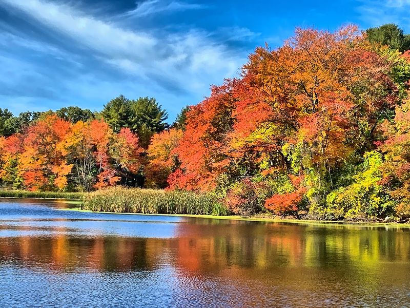 Fall Foliage That Steals the Show Fall Foliage That Steals the Show
