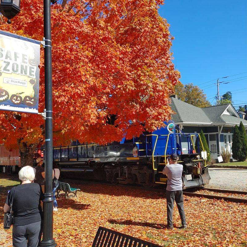Fall Leaves and Four-Season Appeal Fall Leaves and Four-Season Appeal