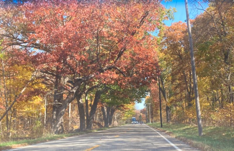 Fall Visits and Why the Off-Season Deserves More Credit Fall Visits and Why the Off-Season Deserves More Credit