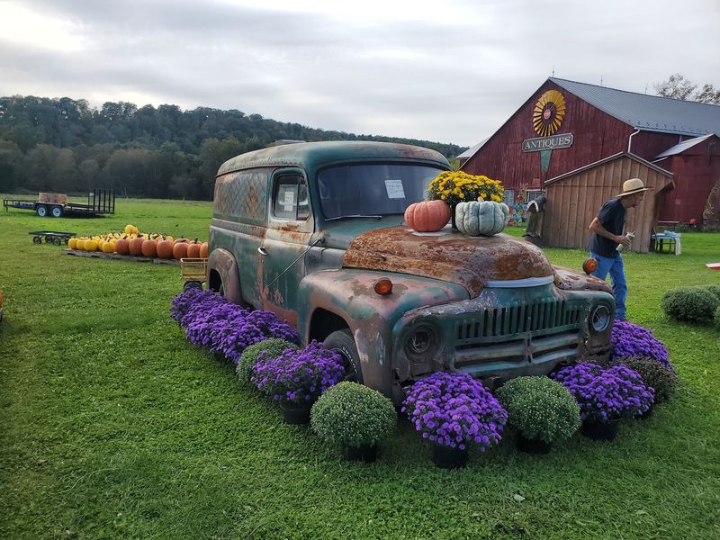 Fall at Retherford's: A Season That Transforms Everything Fall at Retherford's: A Season That Transforms Everything