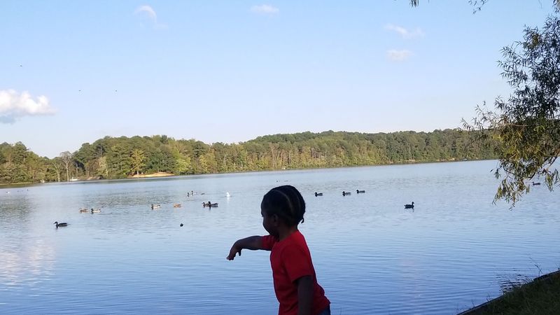 Family-Friendly Fun and Wildlife