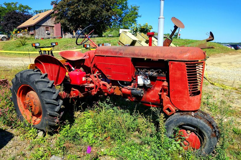 Farm Animals and Vintage Tractors