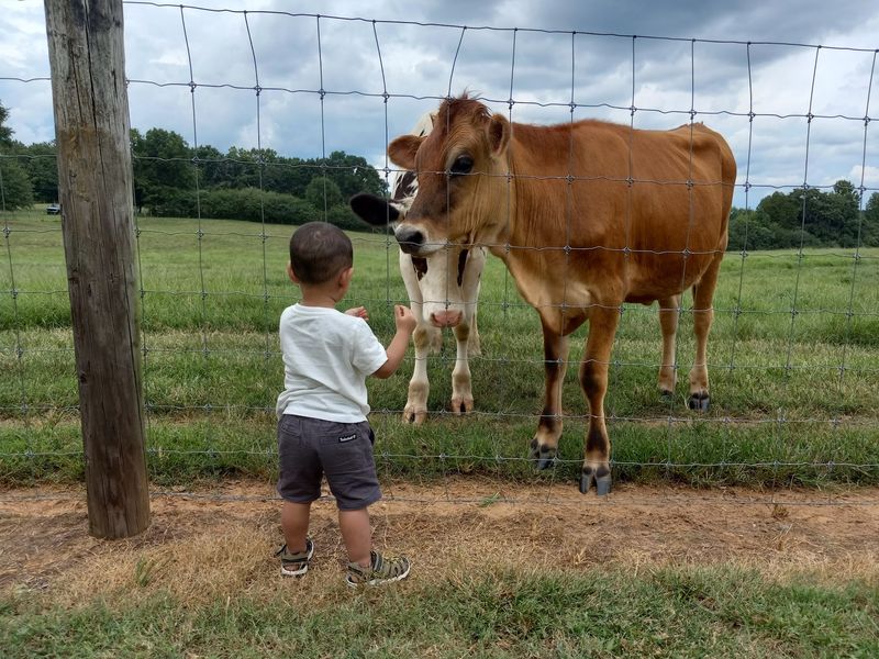Farm Tours That Turn Kids Into Fans Farm Tours That Turn Kids Into Fans