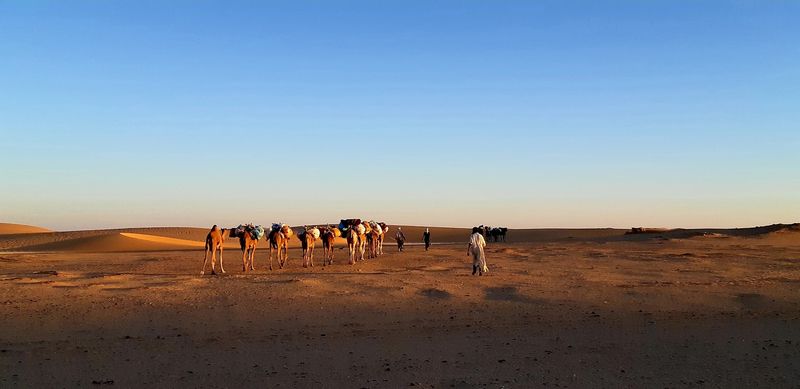 Faya-Largeau, Chad