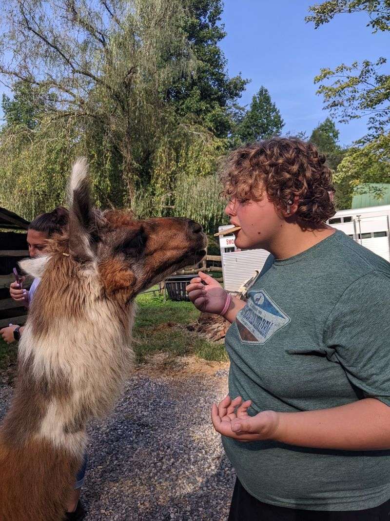 Feeding Time and Graham Cracker Treats
