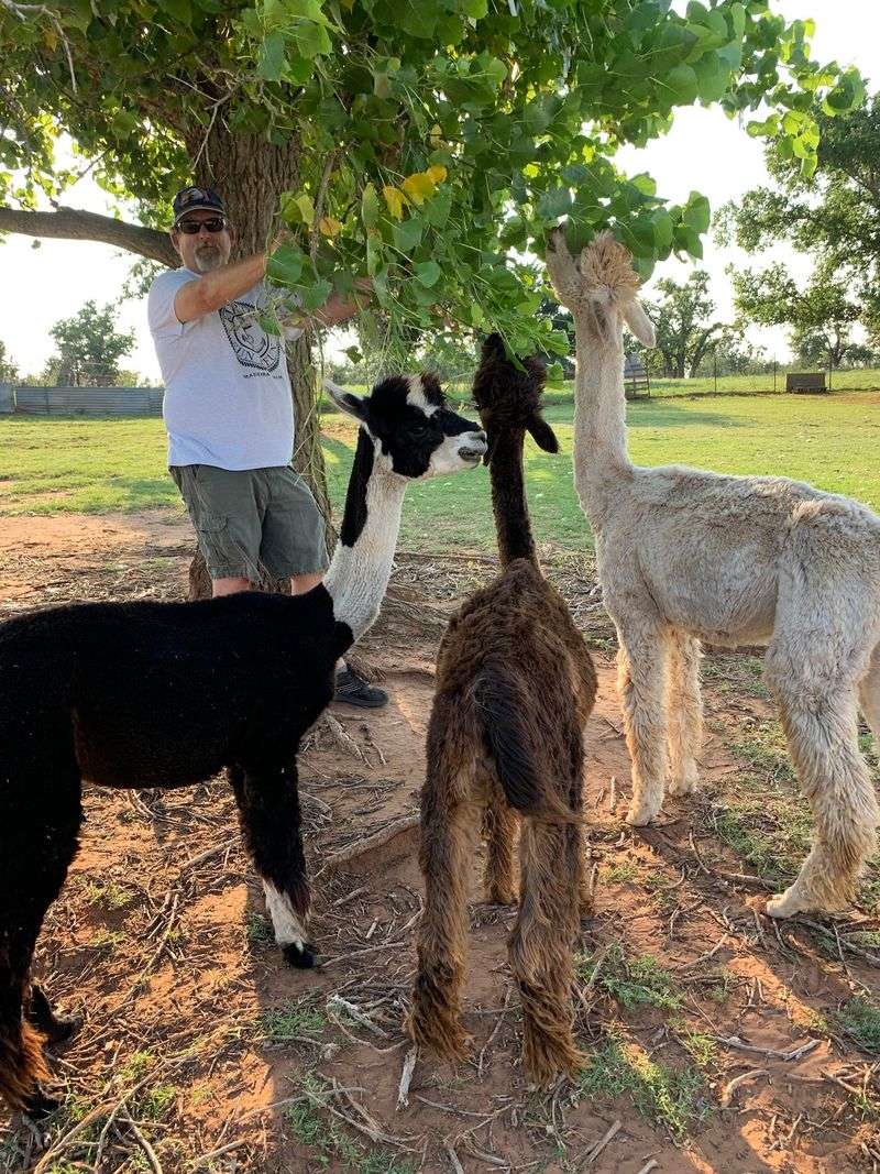 Feeding Time and What to Expect