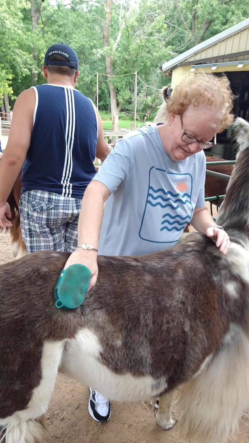 Feeding and Brushing the Herd Feeding and Brushing the Herd