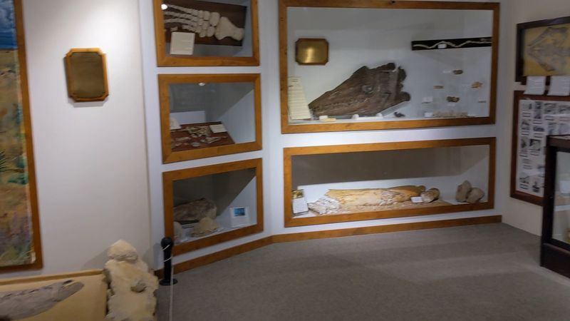 Fick Fossil & History Museum, Oakley, Kansas