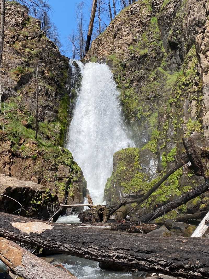 Final Thoughts: Why This Short Trail Sticks With You