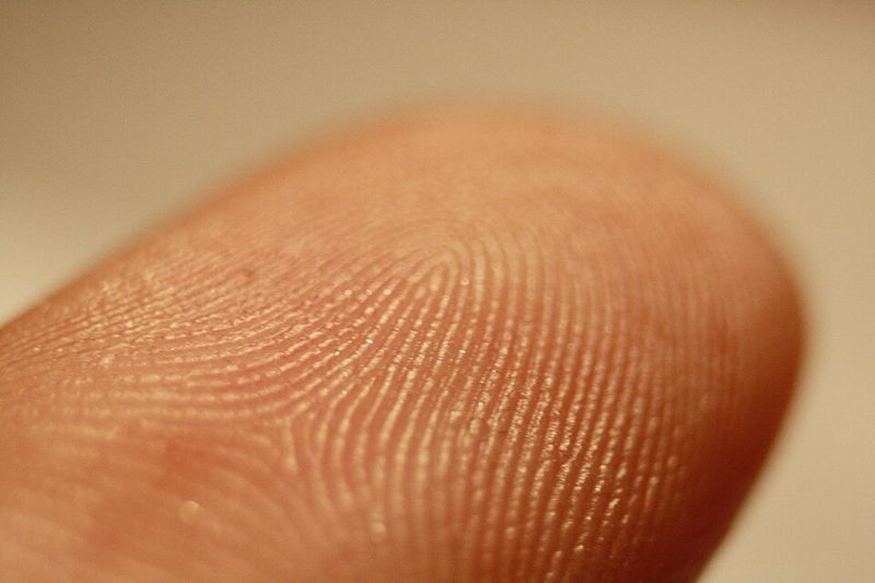 Fingerprinting Fingerprinting