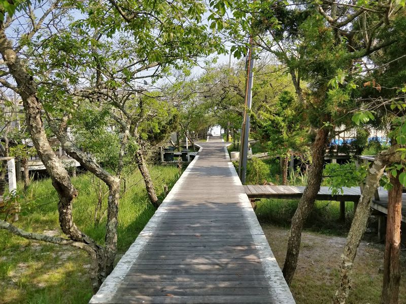 Fire Island, New York Fire Island, New York