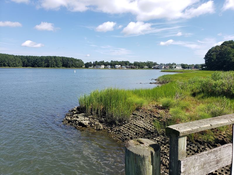 First Landing State Park and Its Remarkable History First Landing State Park and Its Remarkable History