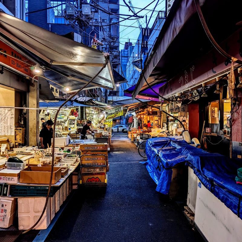 Fish Market Tsukiji Outer Market, Tokyo, Japan Fish Market Tsukiji Outer Market, Tokyo, Japan