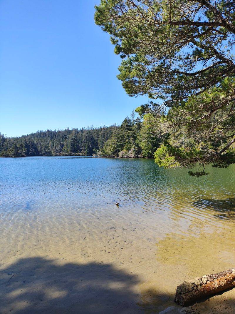 Fishing, Foraging, and Freshwater Lakes