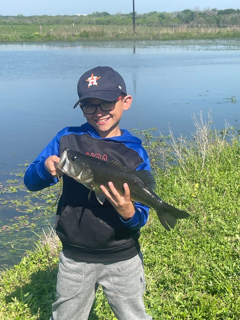 Fishing, Picnics, and Homemade Popsicles Fishing, Picnics, and Homemade Popsicles