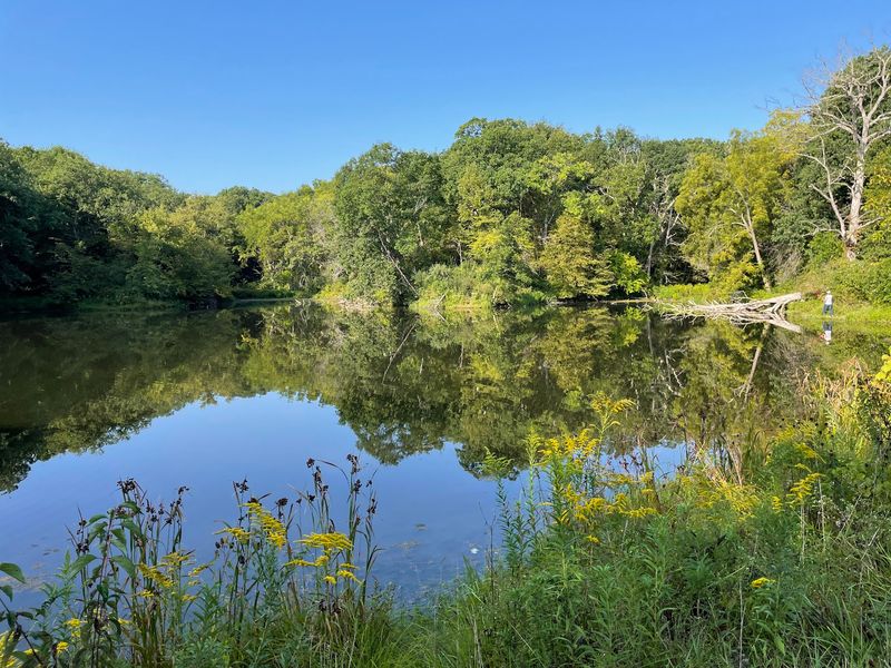 Fishing, Ponds, and Patient Afternoons