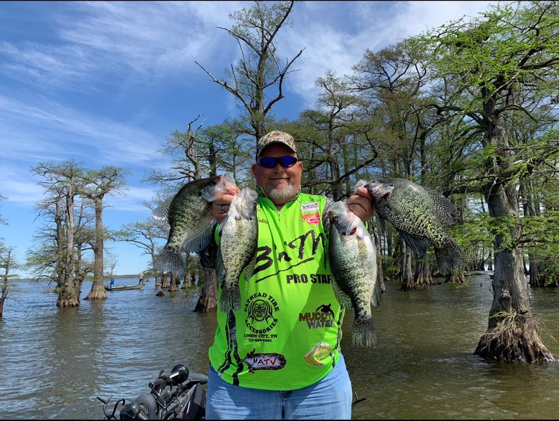 Fishing Reelfoot: Crappie, Catfish, and Stumps Fishing Reelfoot: Crappie, Catfish, and Stumps