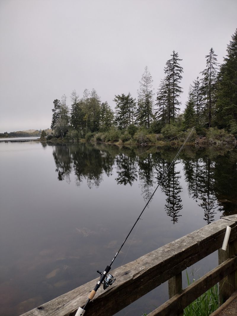 Fishing at the Lake: What to Expect Fishing at the Lake: What to Expect