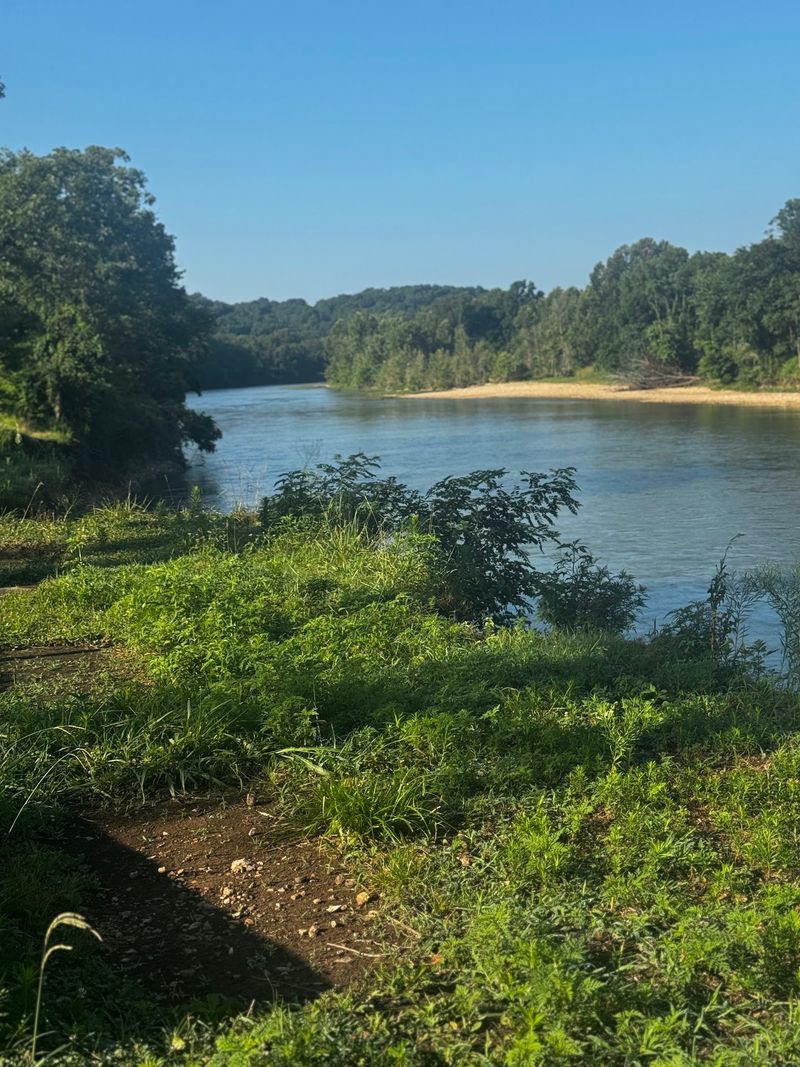 Fishing the Illinois - What the River Actually Holds Fishing the Illinois - What the River Actually Holds