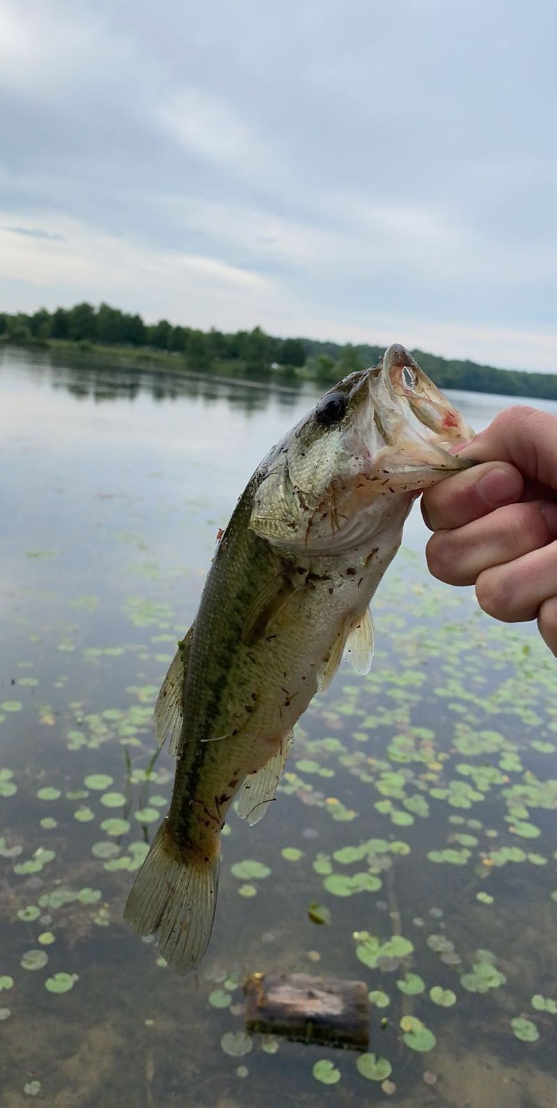 Fishing the Lakes: What to Expect
