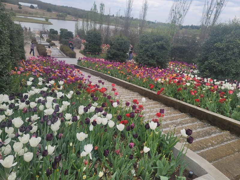Floral Terraces and the Art of the Planted Bed