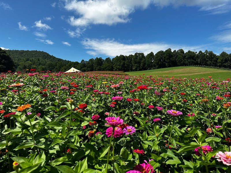 Flowers, Photo Spots, And That Famous Porch