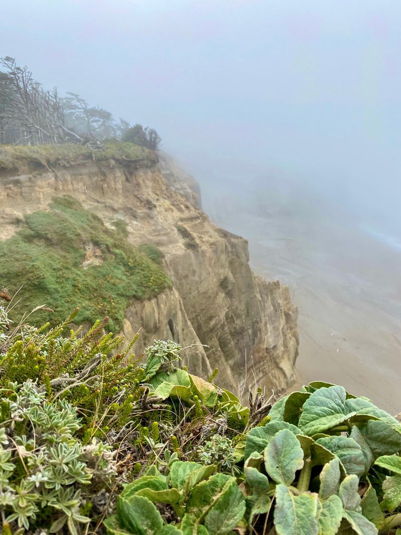 Fog, Light, and the Moody Oregon Coast Atmosphere Fog, Light, and the Moody Oregon Coast Atmosphere