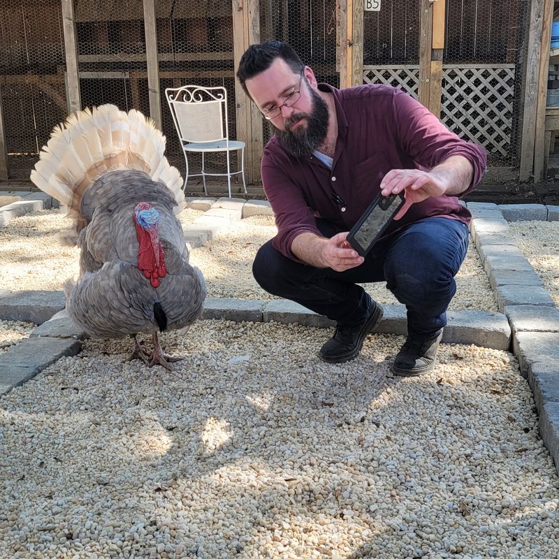 Follow-Up Updates on the Animal You Rescued