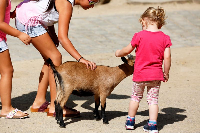 Follow animal-contact and outdoor safety basics Follow animal-contact and outdoor safety basics