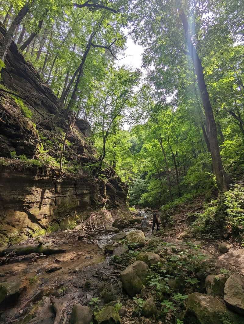 Following the Creek Into the Canyon Following the Creek Into the Canyon