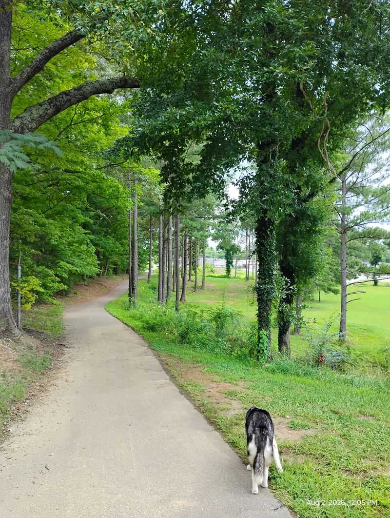 Following the Water Along the Route