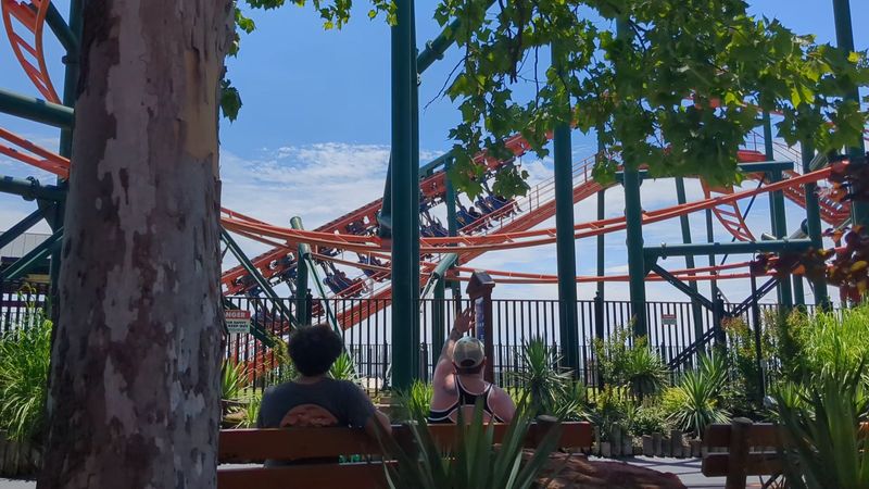 Food, Shade, and Staying Comfortable