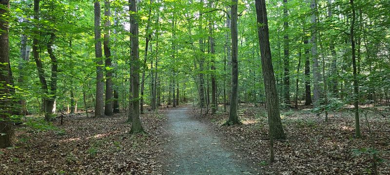 Fork Branch Nature Preserve, Dover, Delaware Fork Branch Nature Preserve, Dover, Delaware