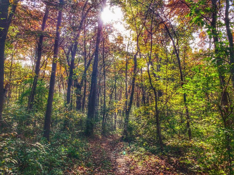 Forty Miles of Trail and What to Do With Them